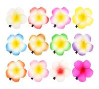 HINTRMENT 12pcs Plumeria Flower Hair Clips with 6cm Clip Artificial Hawaiian Hair Accessories for Women Tropical Floral Decoration for Beach Party and Wedding