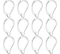 HINZIC 12pcs Stainless Steel Leverback Earring Hooks, Silver Hypoallergenic D Ring Earring Backs Hooks for Women, Open Loop Leverback Ear Wire Findings Supplies for Jewelry Makings DIY Crafts