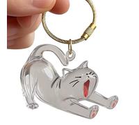 HIOPOIUYT Portable Cats Pendant Hair Collector Box Clear Acrylic Pet Memorial Keepsakes Organizers Keychain With Hanging Hook Cats Shape Pet Memorial Box