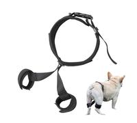 Hip Brace - Mobility Aid for Dogs | Soft Hip Lifting Belt for Recovery After Walking or Supporting Comfortable Harness for Older Dogs, For Home Use or Underwater