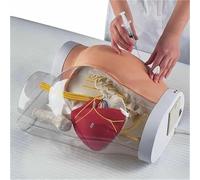 Hip Injection Training Simulator, Transparent Buttocks Intramuscular Injection Training Model, with Observable Detection Warning System, for Correct Injection Technique and Depth.