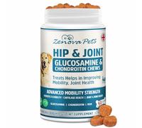 Hip & Joint Supplements for Dogs | Dog Joint Supplements for Senior-Young Helps with Pain relief, Stiffness, Hip & Joint Care for Dogs Support Mobility, Glucosamine Green Lipped Mussel for Dogs(60 Ct)