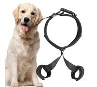 Hip Support for Dogs - Breathable Lift Brace, Pet Mobility Aid, Adjustable Support Belt | Comfortable Recovery Harness for Weak Hips, Joint, Easy Assist for Walking, Travel, Daily Use