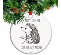 Hip Surgery Christmas Ornament Gift, Hip Replacement Gifts, Hip Surgery Completed Recovery Mode