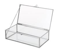 Hipiwe Glass Keepsake Display and Jewelry Organizer With Lid - Silver Decorative Clear Rectangle Storage for Trinket Perfume Collection - Gift for Birthday Anniversaries, Large