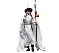 HiPlay 303TOYS RW001B Masako Koya Design: Heavenly Hero Star - Lin Chong (Single Version) 1/6 Scale Action Figure Set