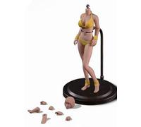 HiPlay TBLeague 1/12 Scale Female Seamless Action Figure Full Set-Realistic Body+Head+Bikini-6 inch Super Flexible Female Dolls for Arts/Drawings/Photography T03A(Pale)