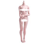 HiPlay WorldBox 1:6 Scale Female Seamless Action Figure Body - Slim Body Shape, fair skin