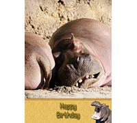 Hippo Birthday Card