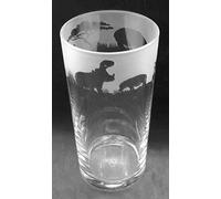 Hippo Frieze Boxed 1 Pint Conical Beer Glass