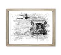 Hippo Hippopotamus V4 Modern Framed Print | A2 Oak Framed Wall Art | Ready to Hang | Modern Nature Picture | Living Room Bedroom Lounge Office
