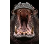 Hippo Notebook: Roaring Hippopotamus Journal: Wide Ruled Paper Notebook, 110 Pages, Black Dark Aesthetic Wildlife Cover for Students, Kids, Teens & Adults