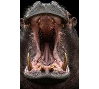 Hippo Notebook: Roaring Hippopotamus Journal: Wide Ruled Paper Notebook, 110 Pages, Black Dark Aesthetic Wildlife Cover for Students, Kids, Teens & Adults