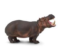 Hippopotamus