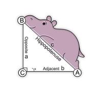 Hippopotamus Hypotenuse Enamel Lapel Pin Cute Math Pun Geometry Design Educational Novelty Collectible Badge 2.5cm x 2.5cm Hard Enamel Metal