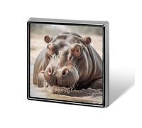 Hippopotamus in Water Suit Lapel Pin Fashion Lapel Pins for Men Women for Backpacks Funny Hat Brooch Pin Personalized Bag Lapel Badge Metal Novelty Buttons & Pins (Square)
