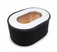 Hippotech Air Filter Cleaner Fits for Yanmar 114650-12590,114250-12581, 168F-07100 Generator Engine