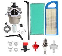 Hippotech Carburetor with Air Filters for Briggs & Stratton 594593 591731 794572 791888 698445 590400 791858 593433 793224 792358 697190 699916 699109 796109 for 31H777 Engine
