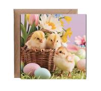 Hippowarehouse adorable baby chicks in easter basket Personalised Card. 15cm x 15cm with envelope for him for her Funny Cards for Men and Women Blank inside option