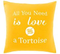 Hippowarehouse All You Need is Love and a Tortoise Printed bedroom accessory cushion cover case 41x41cm