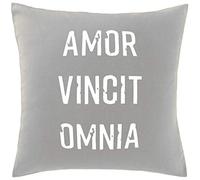 Hippowarehouse Amor Vincit Omnia Printed bedroom accessory cushion cover case 41x41cm