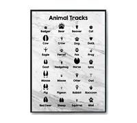 Hippowarehouse Animal tracks Printed Poster A4 Wall Art Design Classroom Room Gym Office Décor