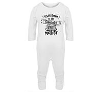 Hippowarehouse assistant to the pancake maker Baby Romper all in one piece unisex