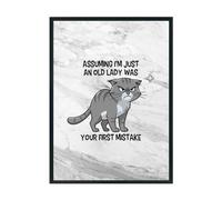 Hippowarehouse Assuming i'm just an old lady was your first mistake Printed Poster A3 Wall Art Design Classroom Room Gym Office Décor