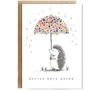 Hippowarehouse Better days ahead hedgehog umbrella Personalised Card A5 with envelope for him for her Funny Cards for Men and Women Blank inside option