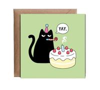Hippowarehouse Birthday Card I Hate My Birthday Grumpy Cat Personalised Card. 15cm x 15cm with envelope for him for her Funny Cards for Men and Women Blank inside option