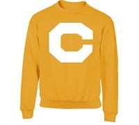 Hippowarehouse Coach Symbol kids children's unisex jumper sweatshirt pullover Sunflower