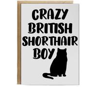 Hippowarehouse Crazy british shorthair boy cat Birthday Card A5 Personalised with envelope for him for her Funny Cards for Men and Women Blank inside option