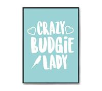 Hippowarehouse Crazy budgie lady kids Printed Poster A4 Wall Art Design Classroom Room Gym Office Décor