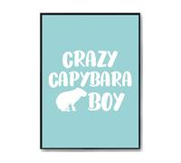Hippowarehouse Crazy capybara boy Printed Poster A2 Wall Art Design Classroom Room Gym Office Décor