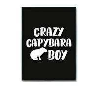 Hippowarehouse Crazy capybara boy Printed Poster A3 Wall Art Design Classroom Room Gym Office Décor