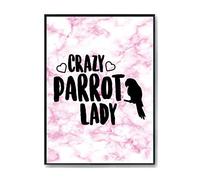 Hippowarehouse Crazy parrot lady Printed Poster A4 Wall Art Design Classroom Room Gym Office Décor
