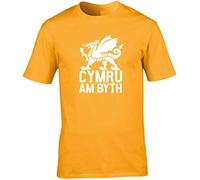 Hippowarehouse Cymru am Byth Wales Unisex Short Sleeve t-Shirt (Specific Size Guide in Description) Gold