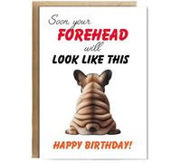 Hippowarehouse Funny Aging Birthday Card Soon Your Forehead Is Going to Look Like This Personalised Card A5 with envelope for him for her Funny Cards for Men and Women Blank inside option