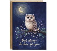 Hippowarehouse Get better soon card owl always be here for you Card - A6 with envelope for him for her Funny Cards for Men and Women