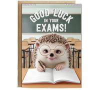 Hippowarehouse Good Luck in Your Exams Hedgehog with Glasses Personalised Card A5 with envelope for him for her Funny Cards for Men and Women Blank inside option