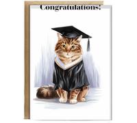 Hippowarehouse Graduation cat congratulations Birthday Card A5 Personalised with envelope for him for her Funny Cards for Men and Women Blank inside option