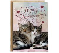 Hippowarehouse Happy Anniversary with Loveable Cat Couple Birthday Card A5 Personalised with envelope for him for her Funny Cards for Men and Women Blank inside option