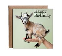 Hippowarehouse Happy Birthday card baby goat in hand cute pastel green Personalised Card. 15cm x 15cm with envelope for him for her Funny Cards for Men and Women Blank inside option