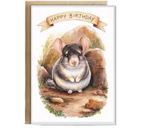 Hippowarehouse Happy Birthday cute chinchilla watercolour Birthday Card A5 Personalised with envelope for him for her Funny Cards for Men and Women Blank inside option