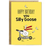 Hippowarehouse Happy Birthday You Silly Goose Cartoon 2 Personalised Card A6 with envelope for him for her Funny Cards for Men and Women Blank inside option