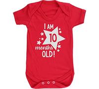 Hippowarehouse I Am 10 Months Old! - Milestone Birthday baby vest bodysuit (short sleeve) boys girls