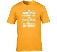 Hippowarehouse I Am Currently Unsupervised I Know, It Scares Me Too. But The Possibilities are Endless! Unisex Short Sleeve t-Shirt (Specific Size Guide in Description) Gold