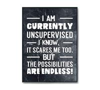 Hippowarehouse I Am Currently Unsupervised I Know, It Scares Me Too. But The Possibilities Are Endless! Printed Poster A4 Wall Art Design Classroom Room Gym Office Décor