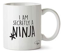 Hippowarehouse I am Secretly a Ninja Printed Mug Cup Ceramic 10oz
