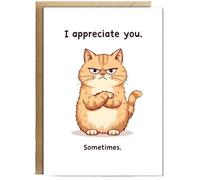 Hippowarehouse I appreciate you, sometimes cat Personalised Card A6 with envelope for him for her Funny Cards for Men and Women Blank inside option